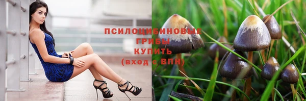 дмт Аркадак