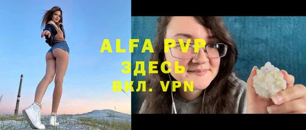 гидра Арсеньев