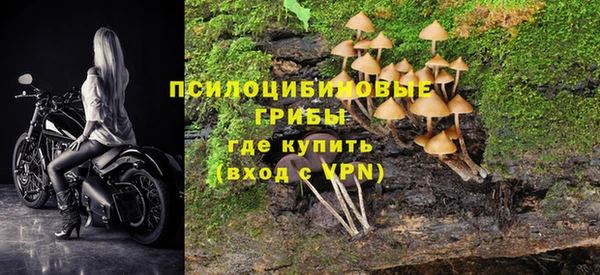 гидра Арсеньев